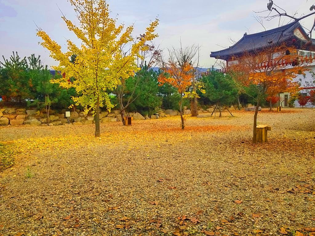 Chowoo Guesthouse Kjongdzsu Kültér fotó