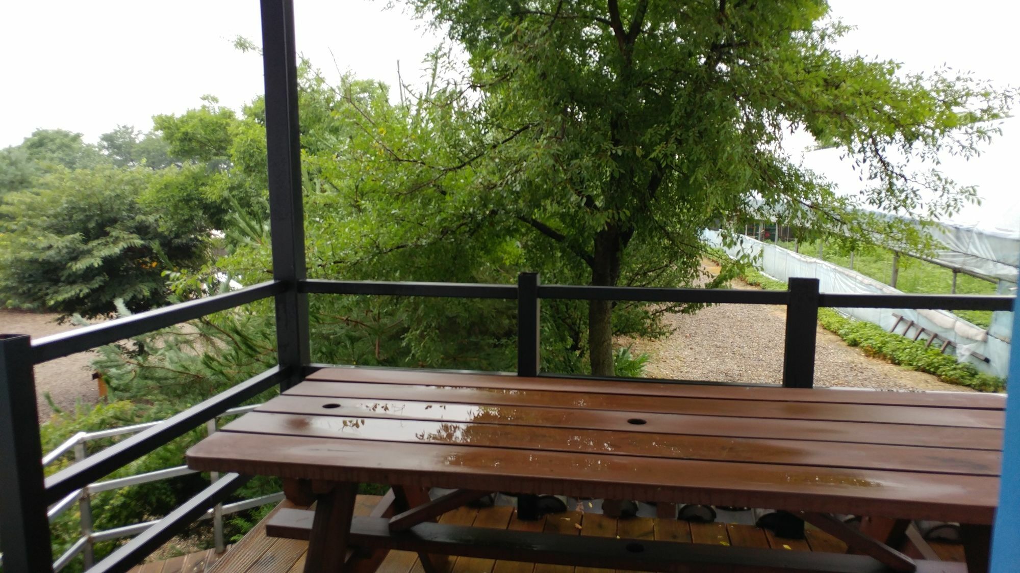 Chowoo Guesthouse Kjongdzsu Kültér fotó